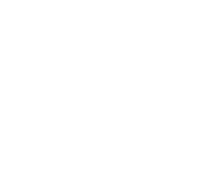 Rijk Zwaan